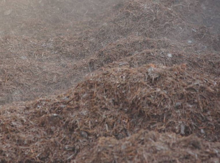 Podłoże pieczarkowe